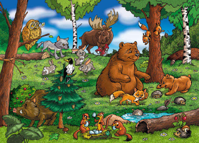 Лесные животные картинки для детей